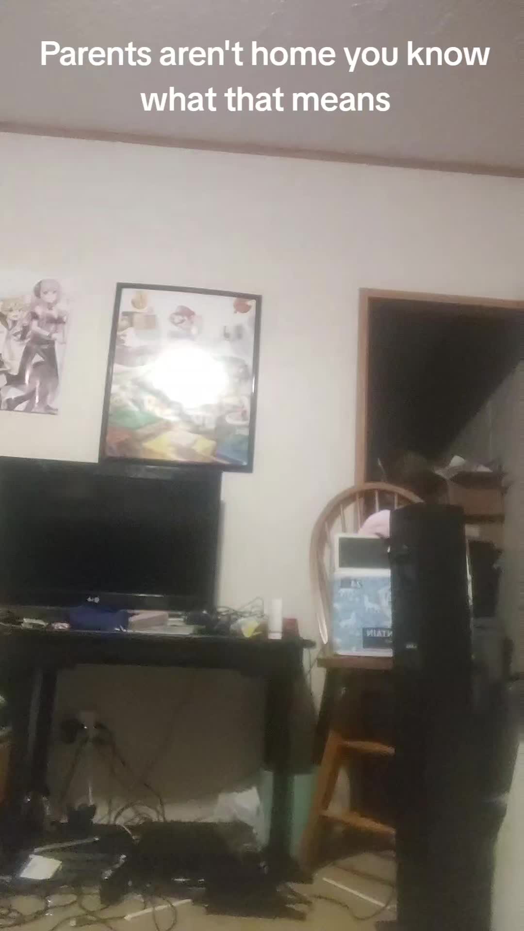 @DamientheShinx
