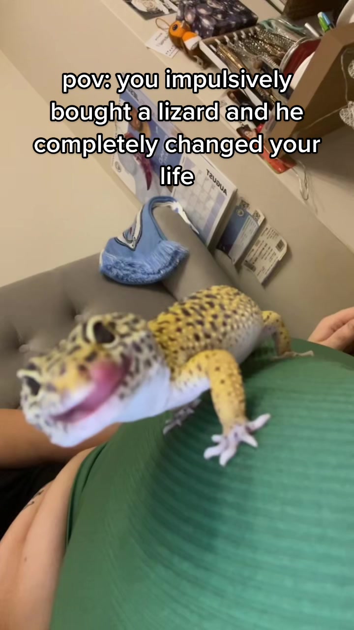 @katie