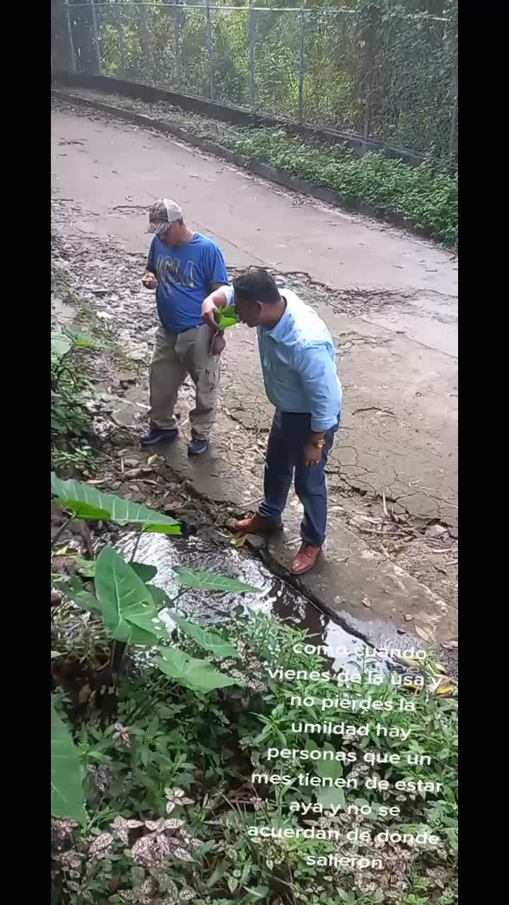 @guillen_503_sv 🇸🇻