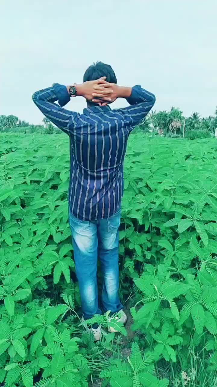 @satyas-s