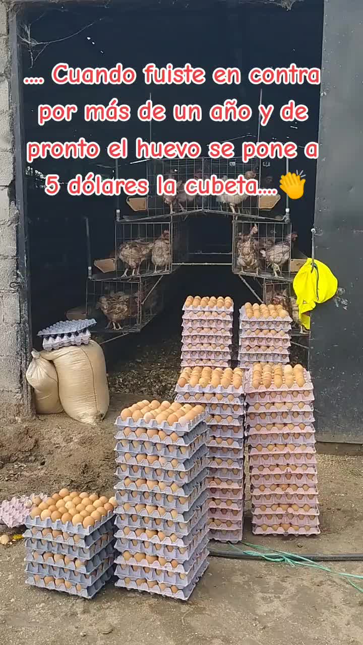 @Bolivar Coro