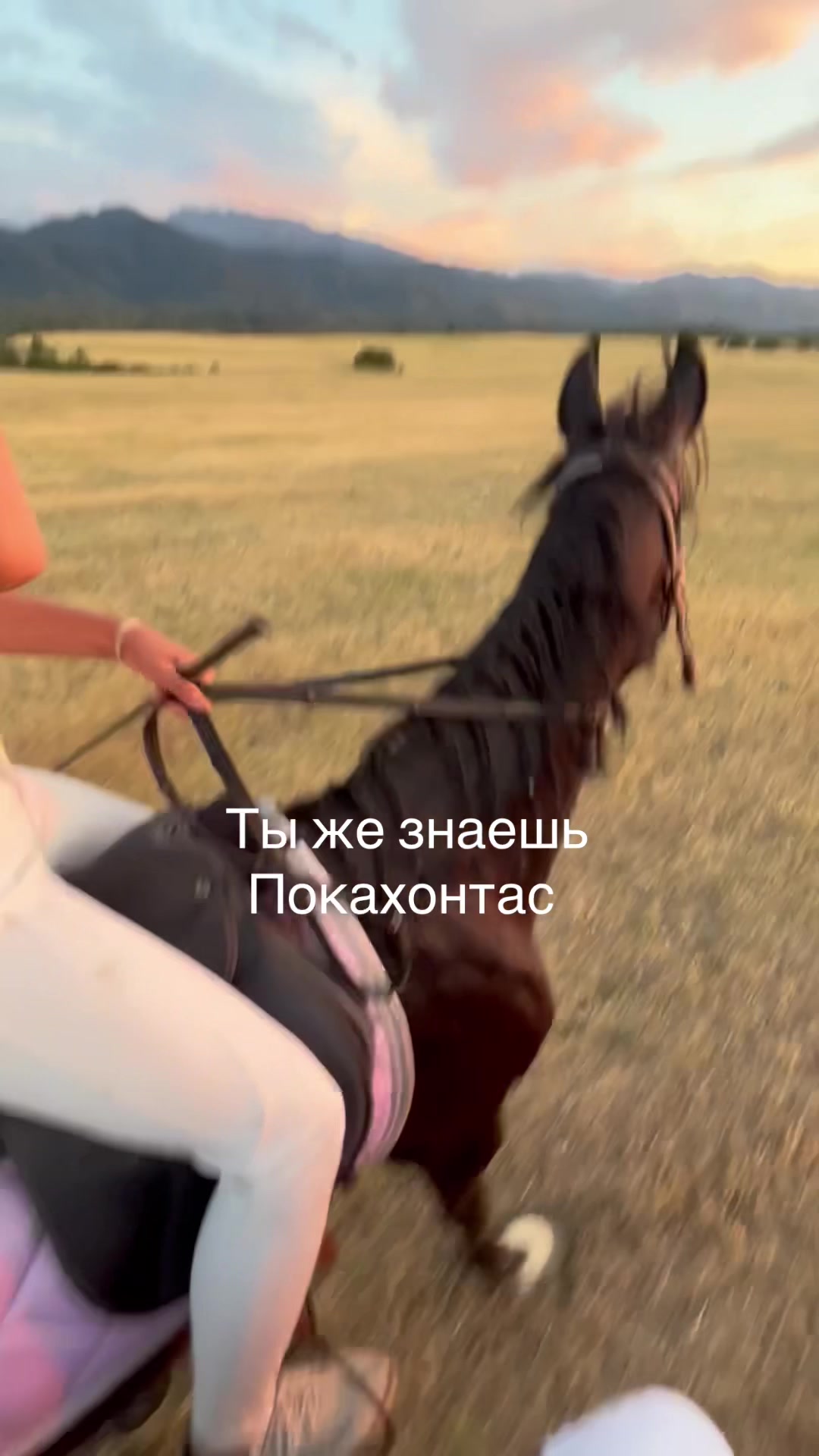 @jockey.hors