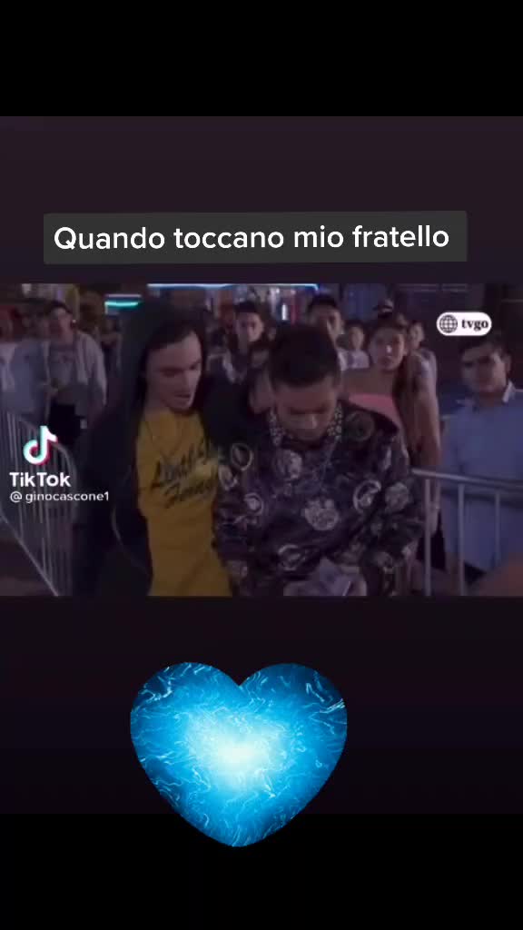 @gatto
