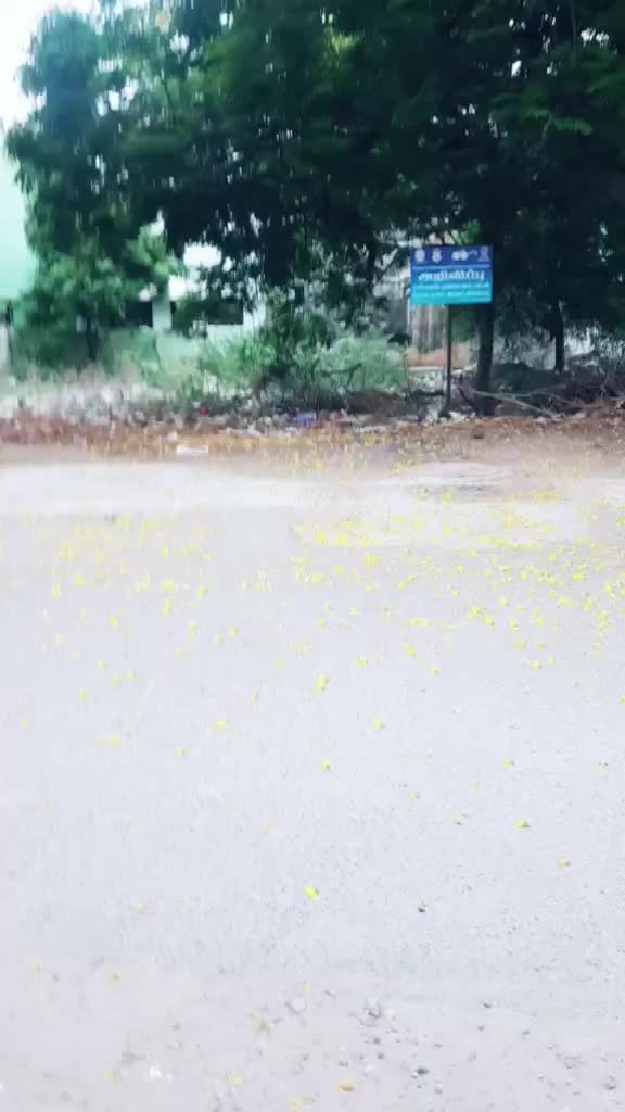 @Raj Kamal