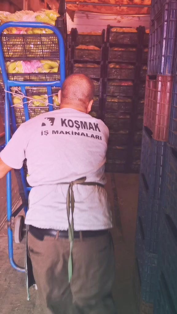 @Ercan Aktan