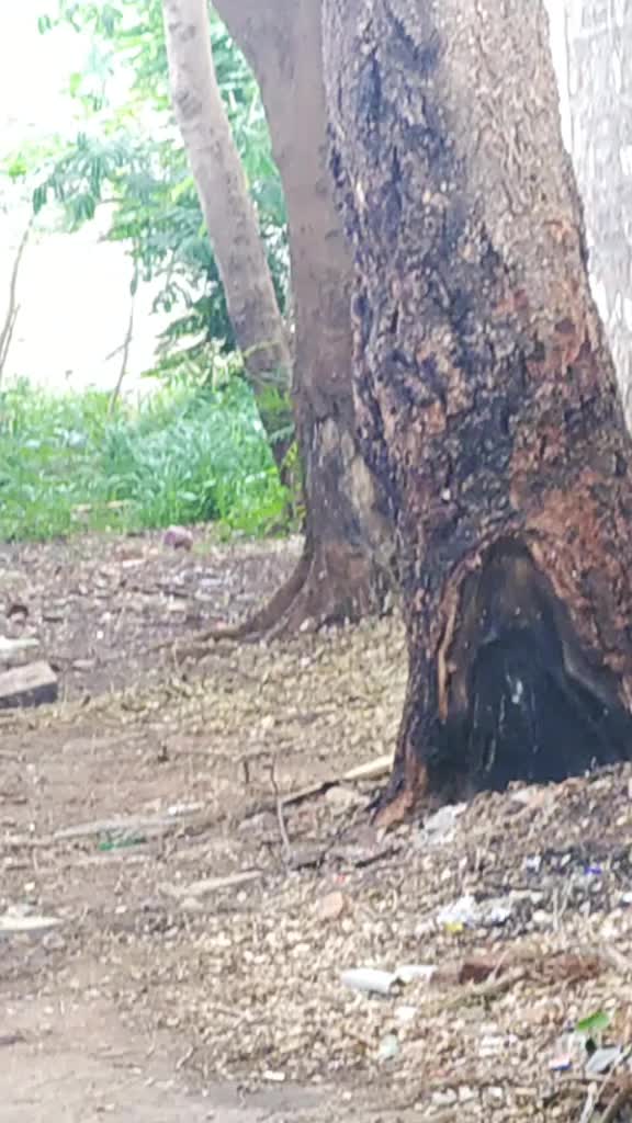 @ಹಳ್ಳಿ ಹುಡುಗ ಸುನಿಲ್