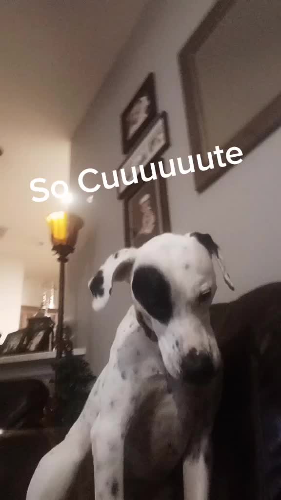@Austinzw