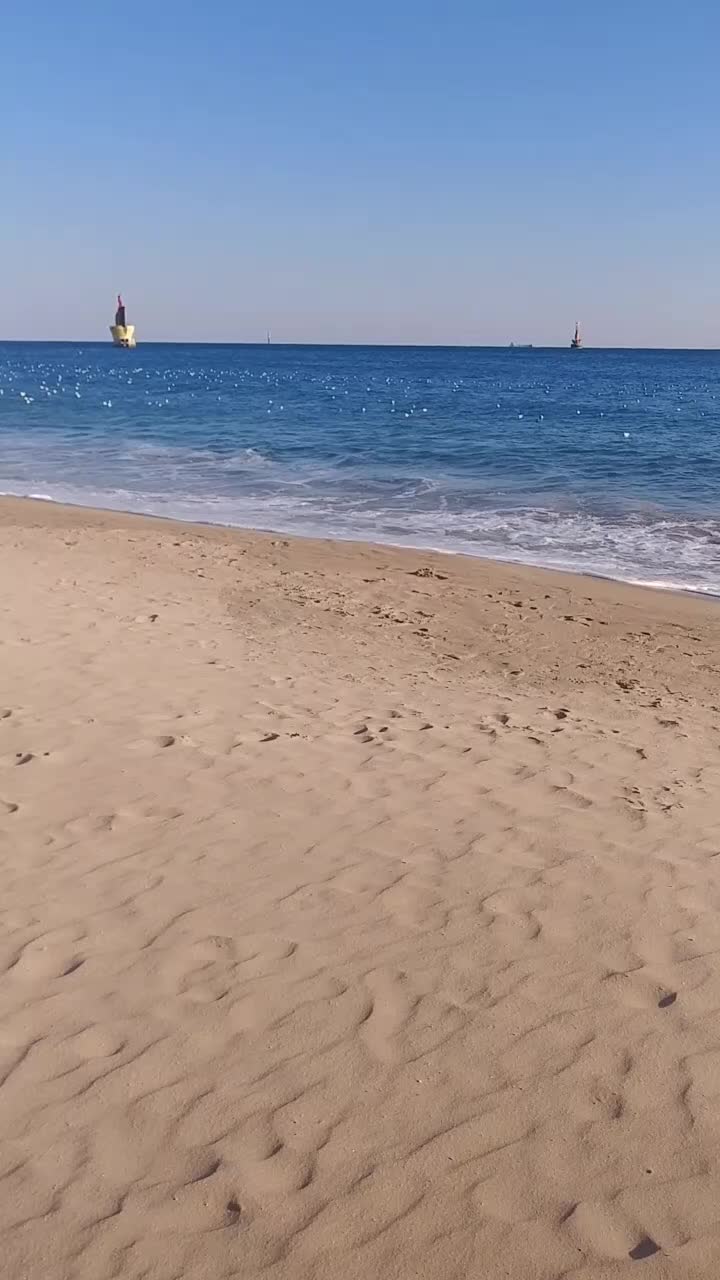 @🤘 레츠기릿🤙