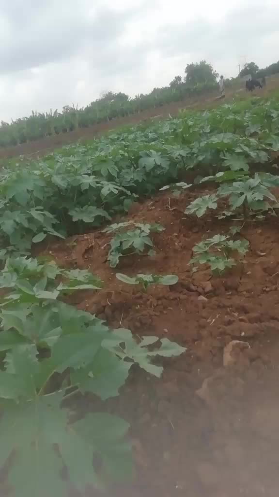 @user6678905225683