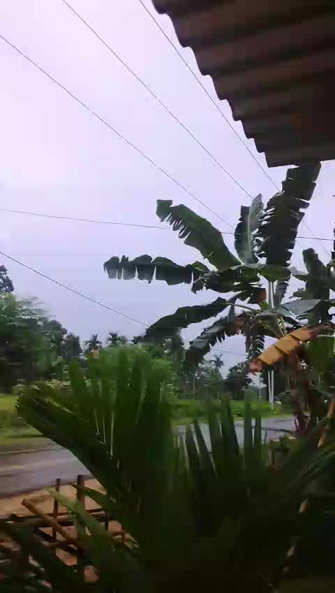 @Anil Saikia