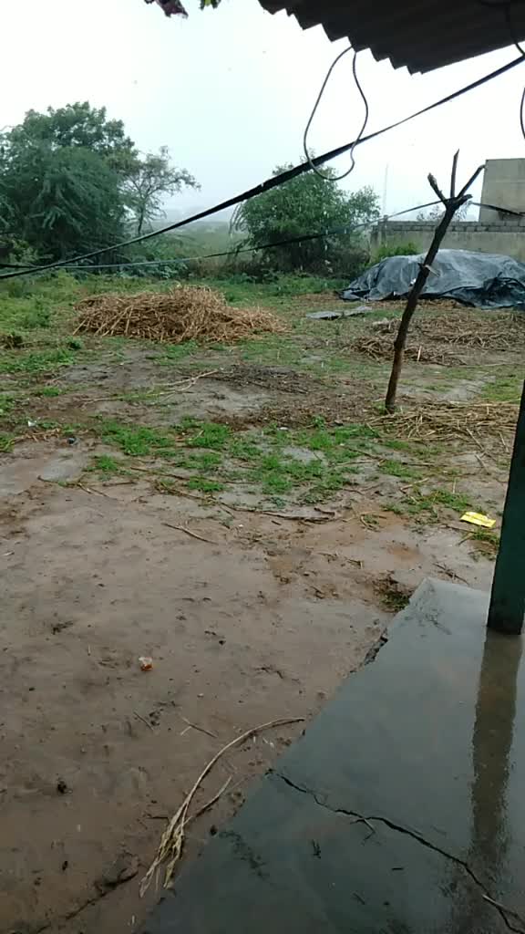 @Ayub Hingorja 5977