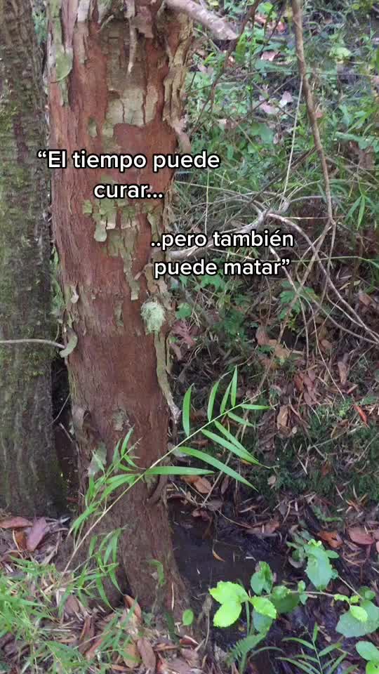 @โ