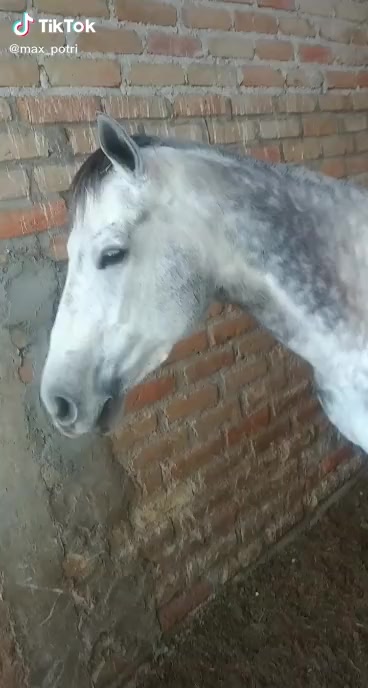 @Dani_0791