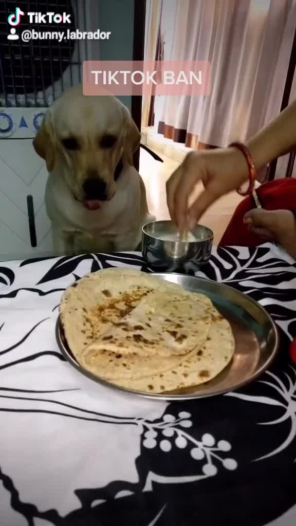 @user38530715122