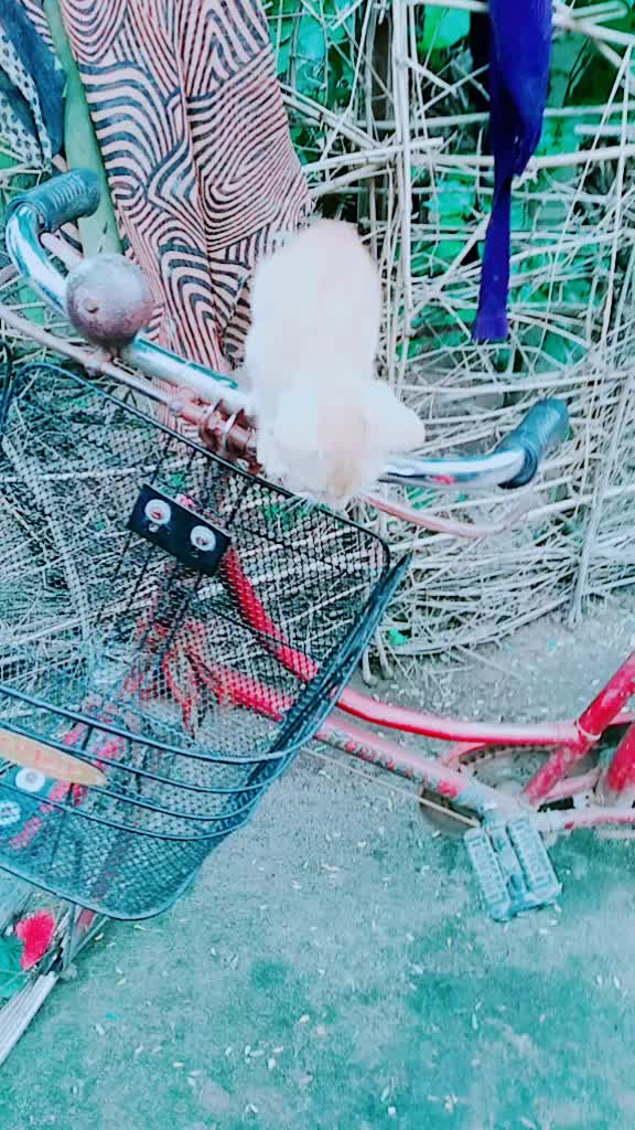 @subha subha 143