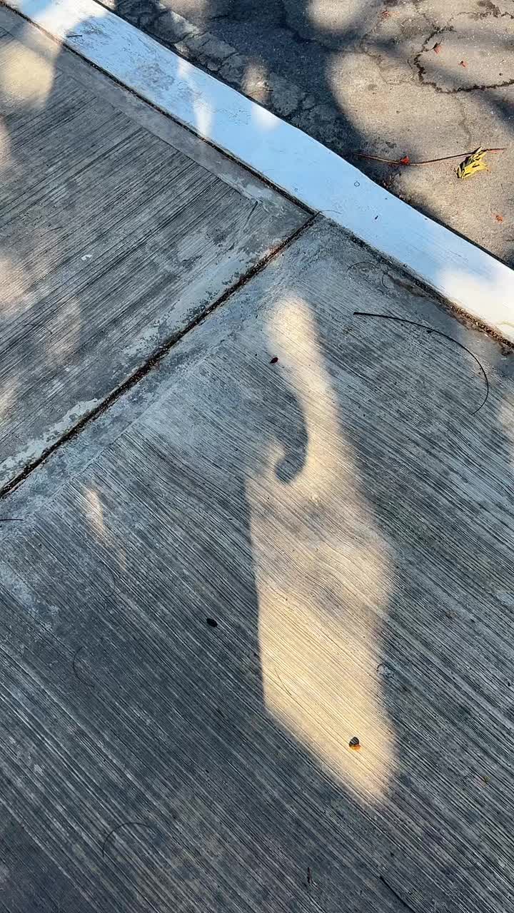 @edu15__g