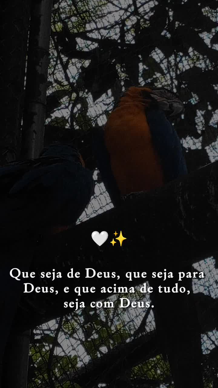 @Patrícia