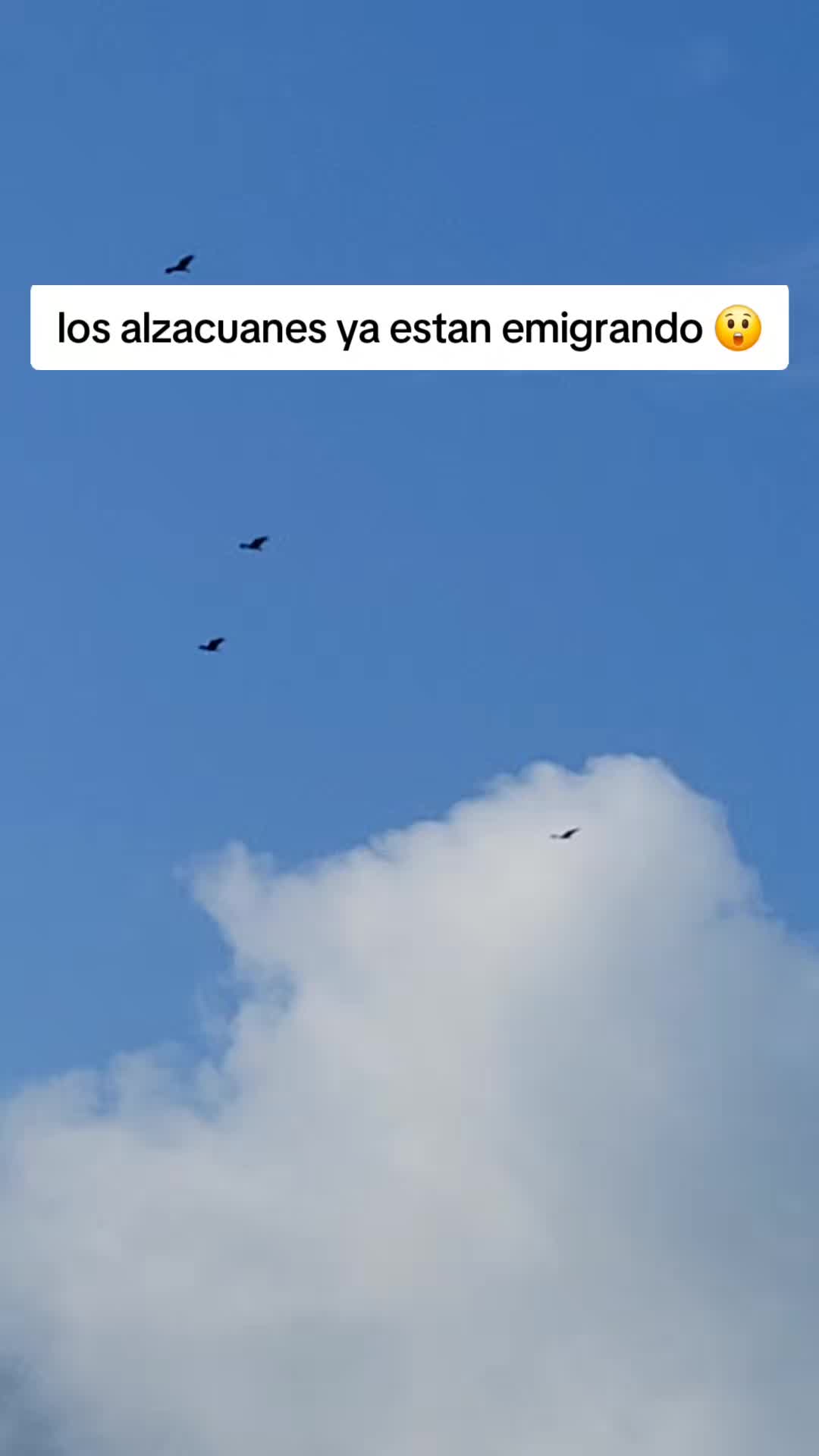 @El DJ