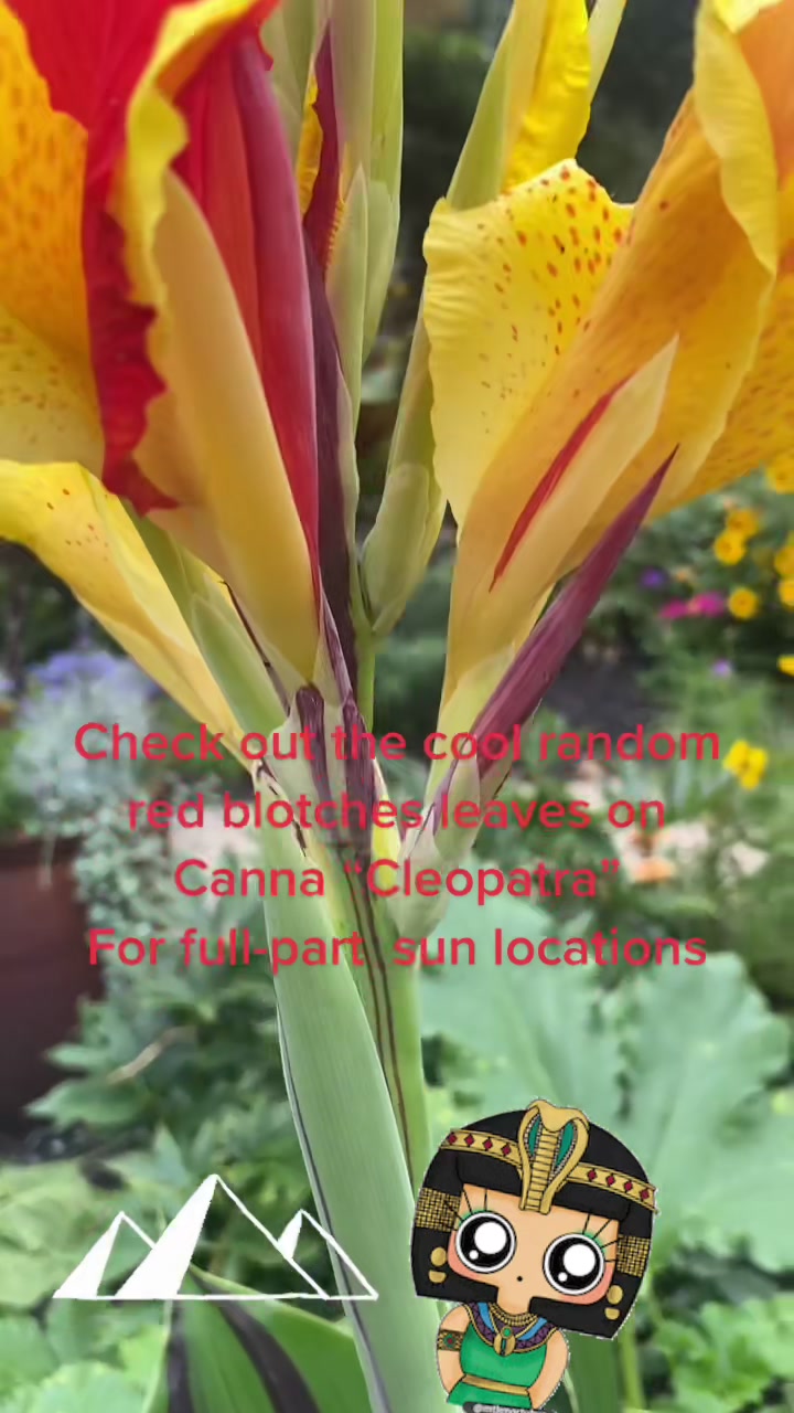 @Plants of Worth