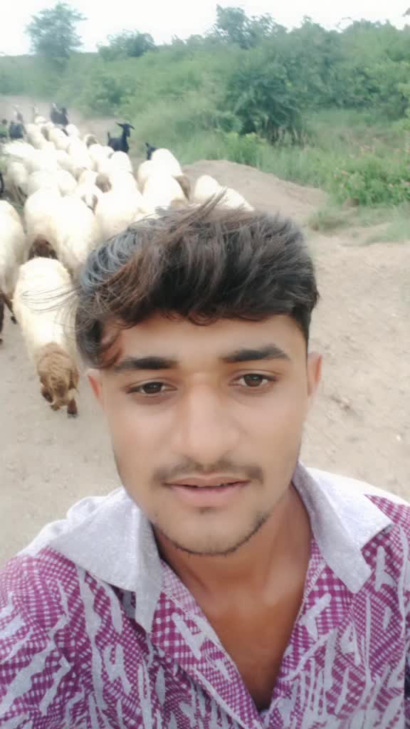 @D k નુ રજવાડૂ