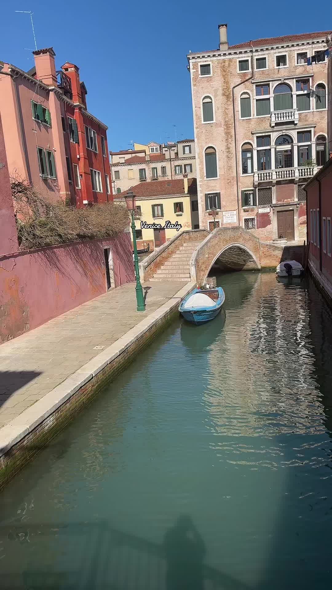 @Amanda ﾒ𝟶 🪼