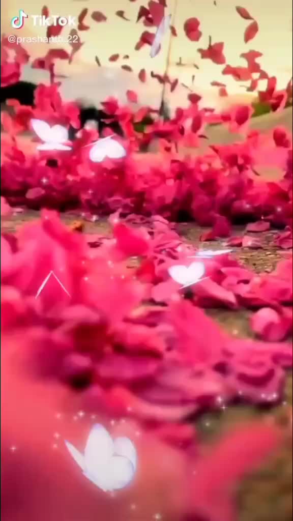 @calm heart girl