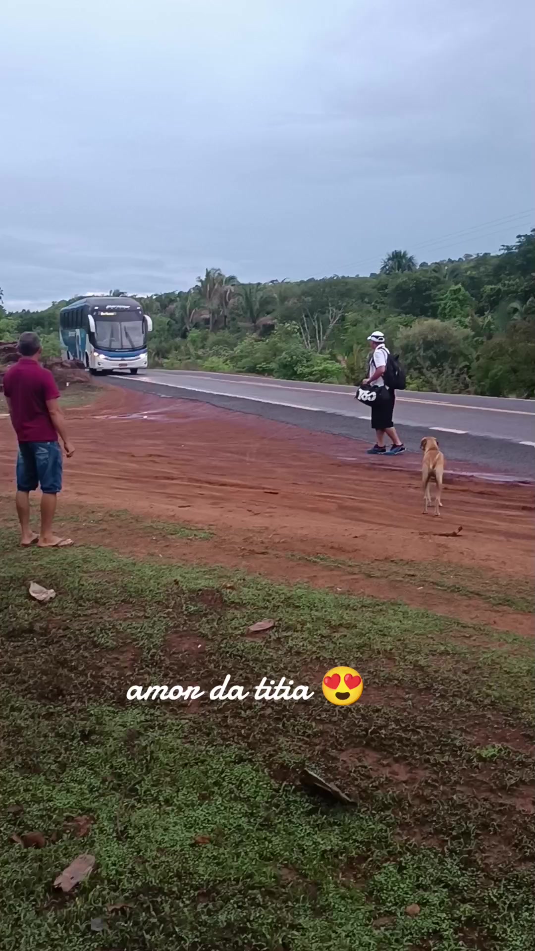 @socorroalves719