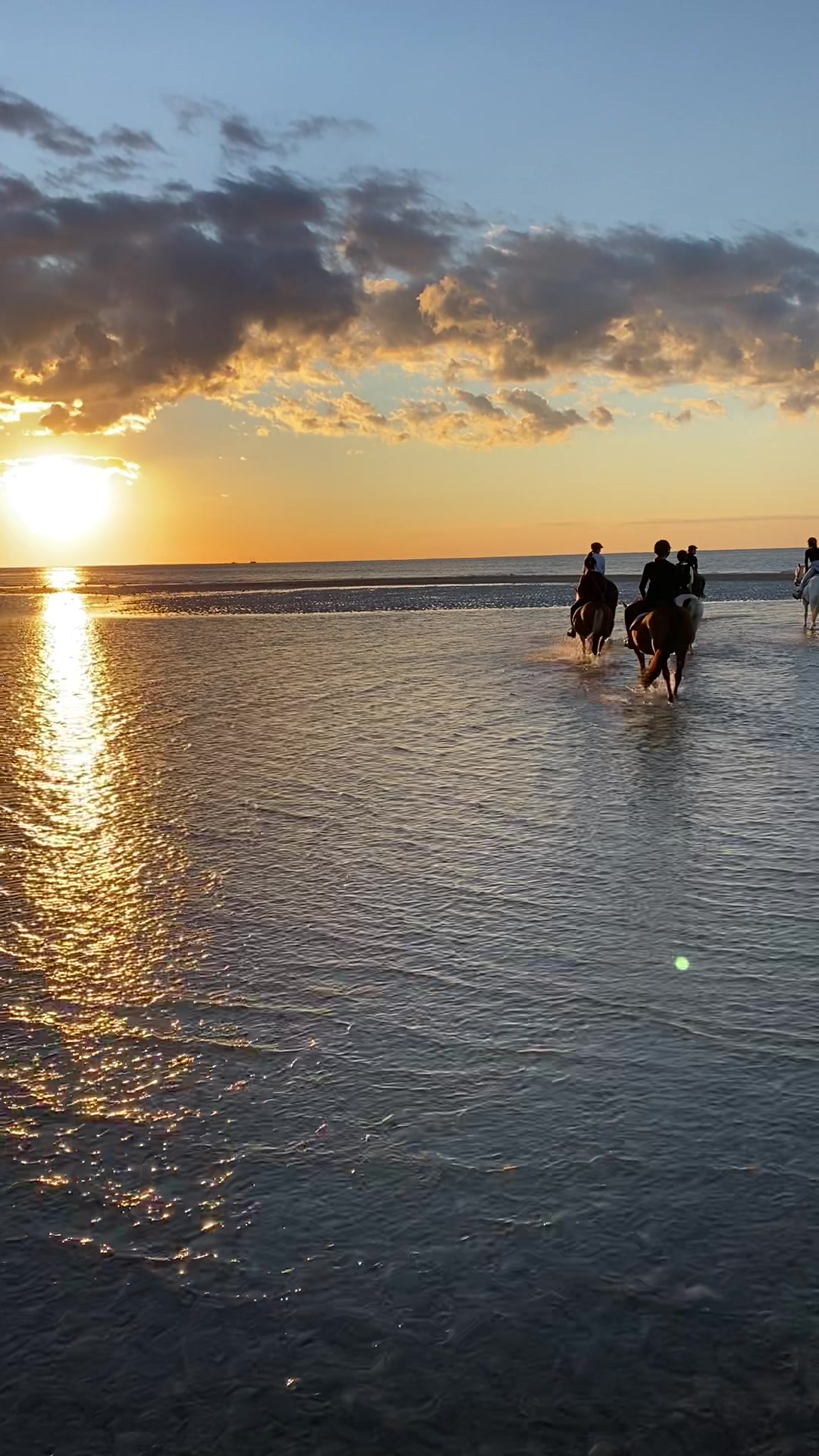 @reiterhof.andresen.amrum