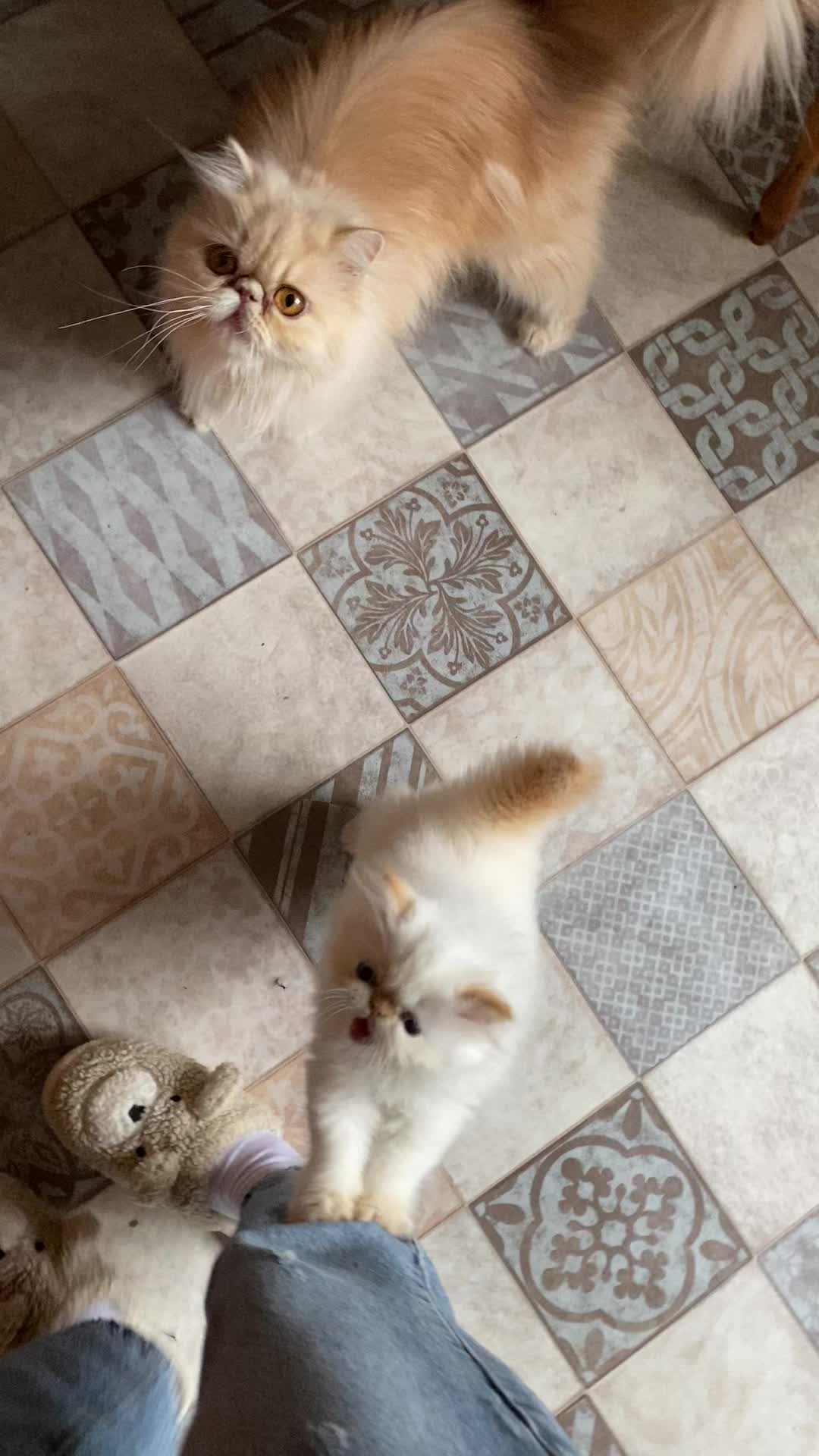 @Юля Турелик