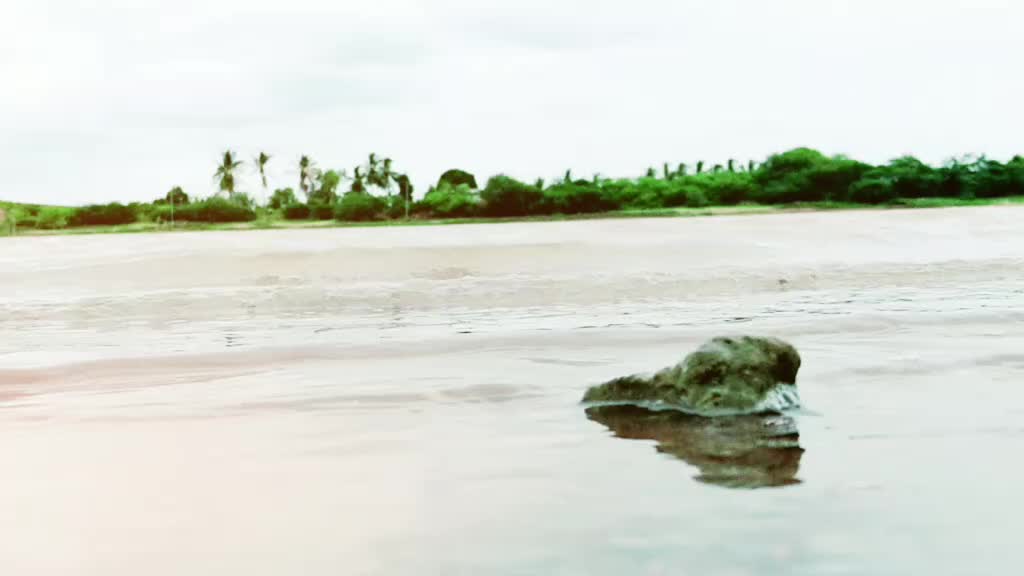 @Gangadhara Gangu S M