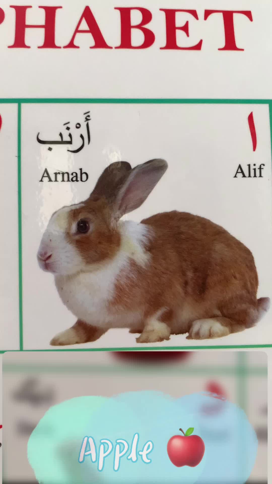 @My Arabic life