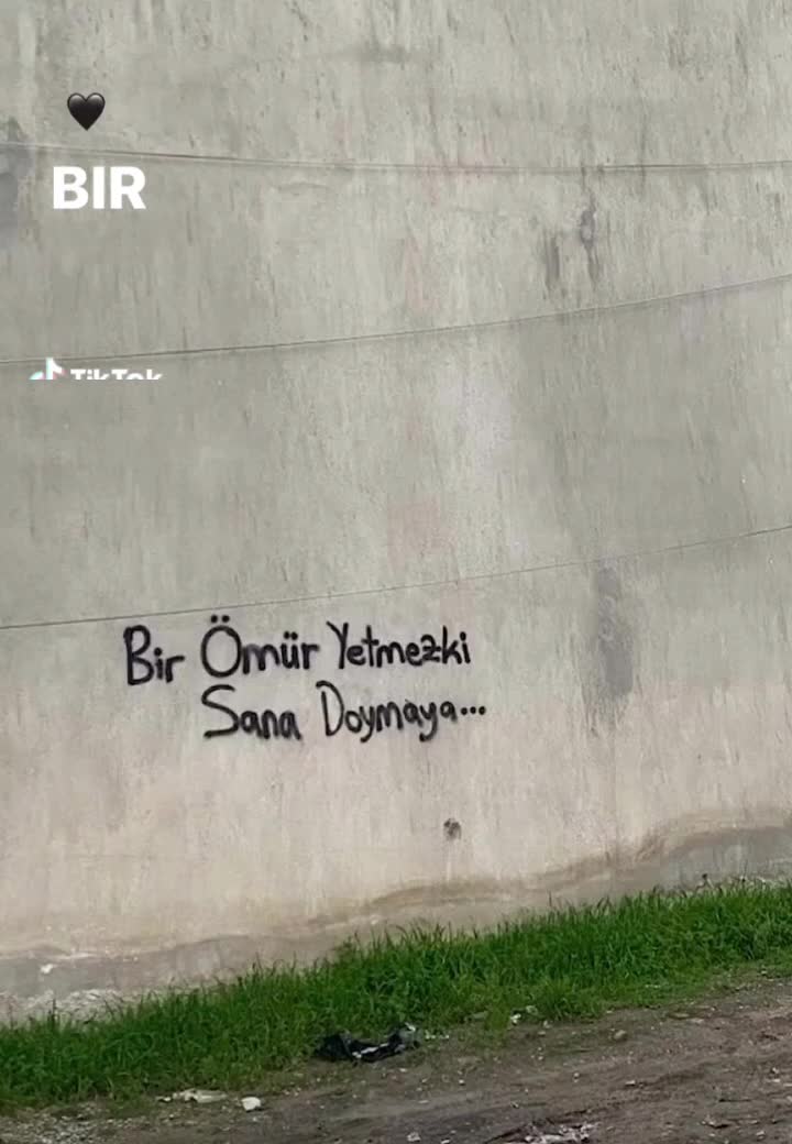 @demir zambak