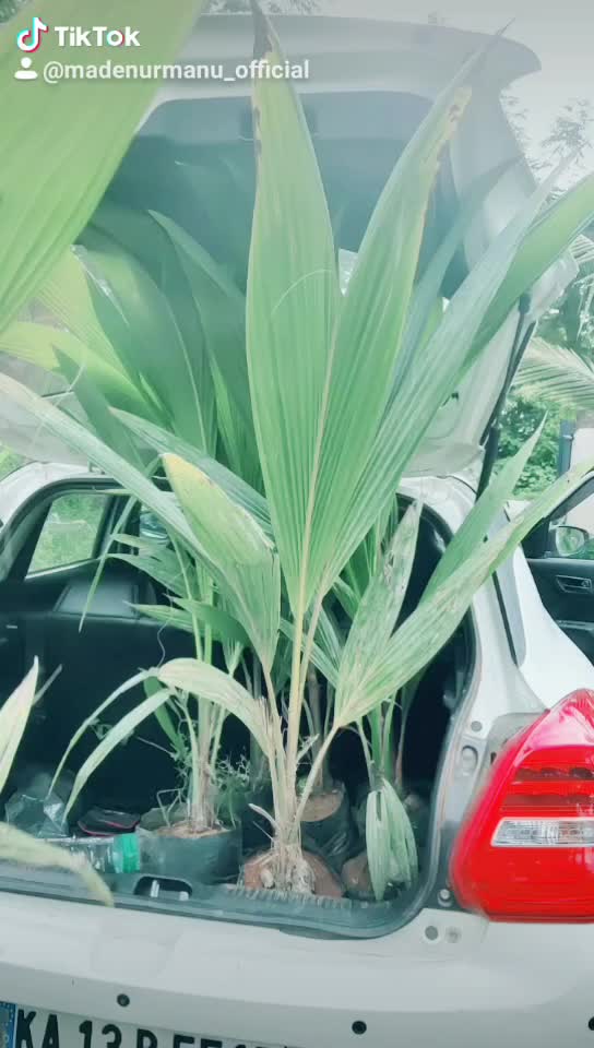 @ಮಡೇನೂರು ಮನು