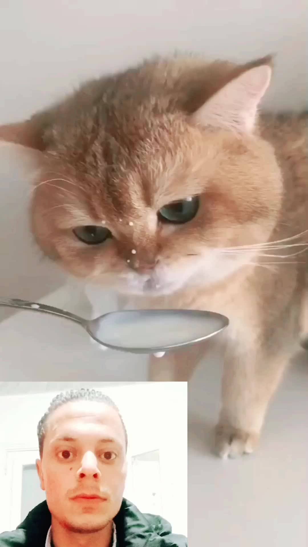 @مصطفى ابو علي