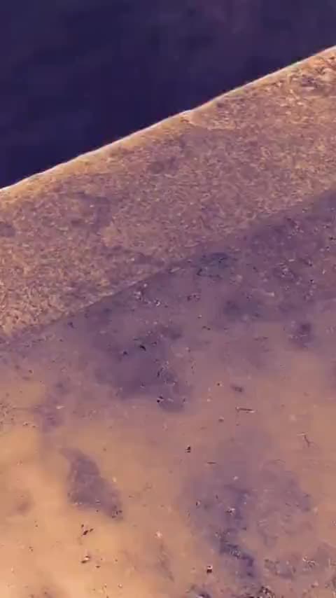 @Gkaur😊