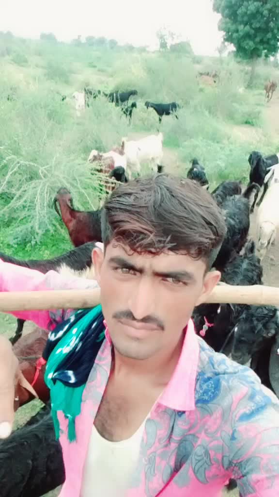 @જગદીશ હાડગડા.