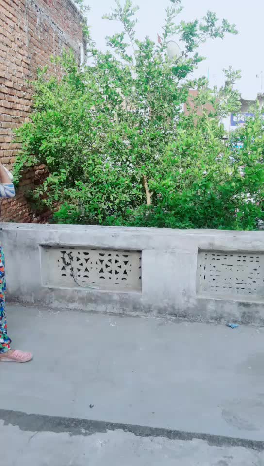 @mahak_alisha