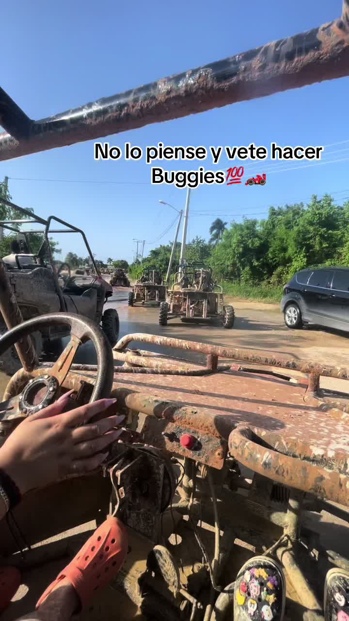 @Allison Vargas