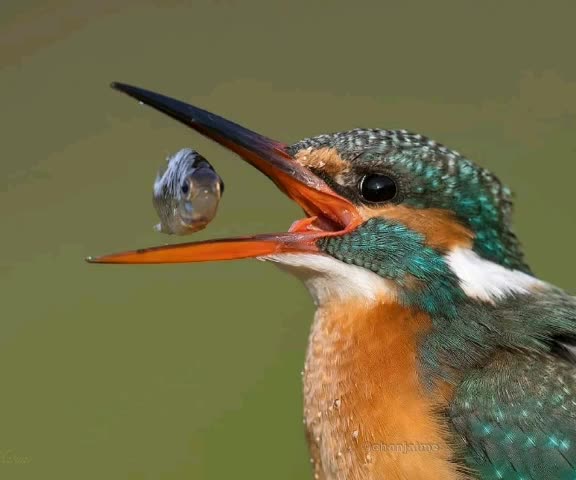 @SathishSathi868