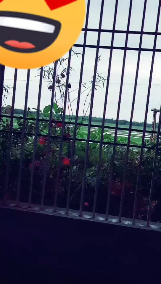 @Priyanka gogoi