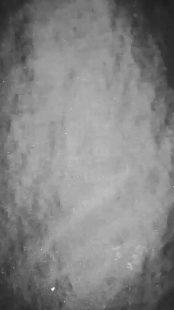 @jeelpatel97
