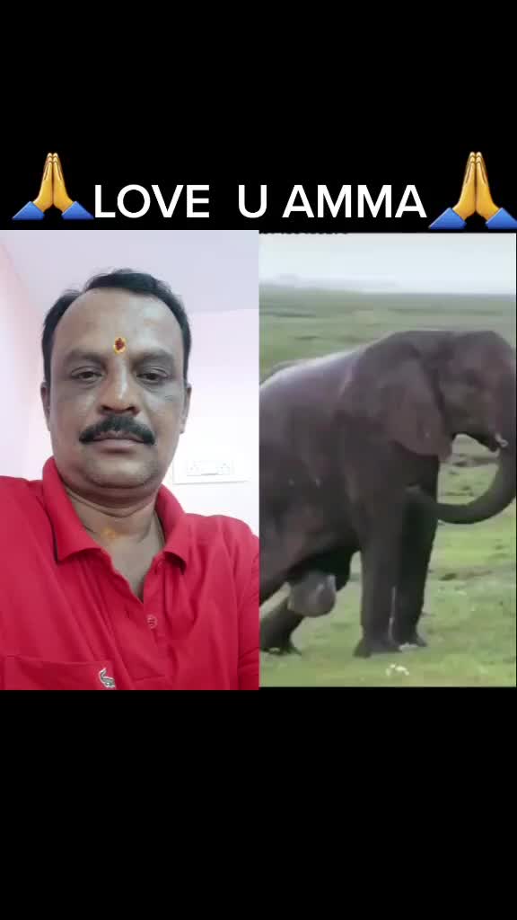 @S Krishna Shetty