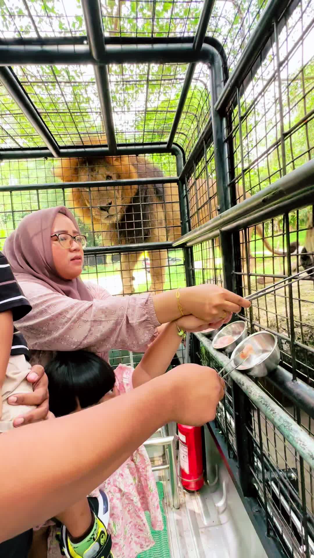 @Putri Aulia Fajar