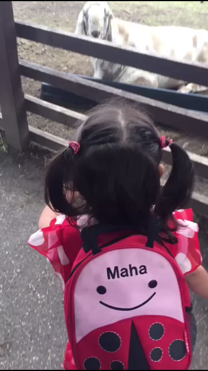 @Khadeeja