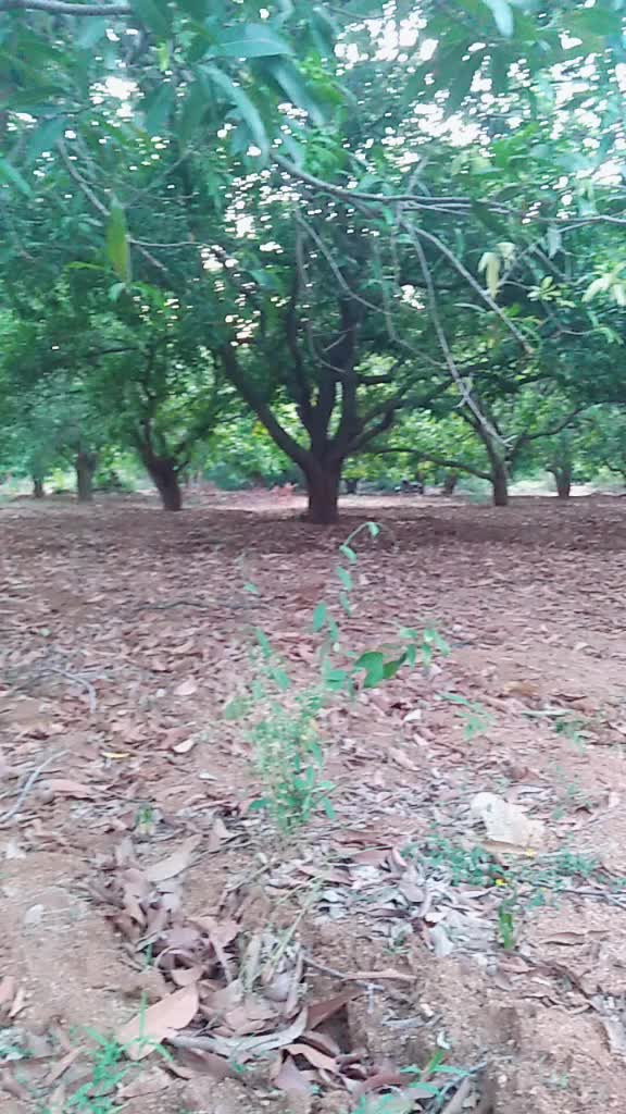 @Hari Barathi