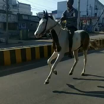 @om yadav