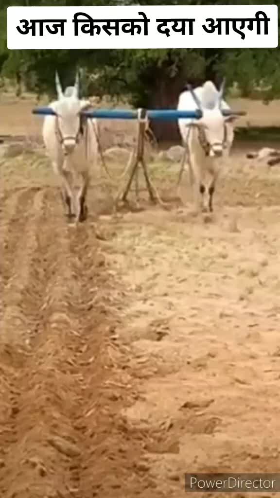 @HR 20 WALA BAAZ 🦅