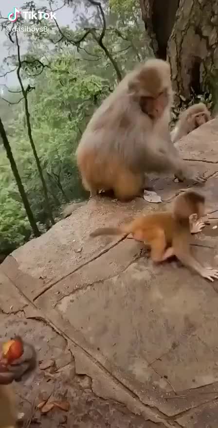 @Ram_Rachu