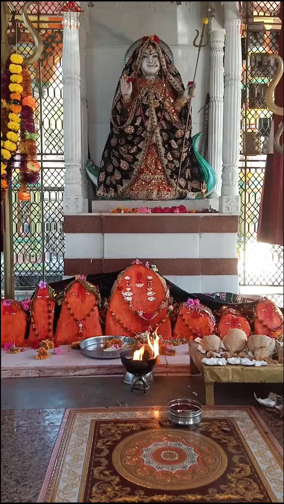 @digbhabharoli076