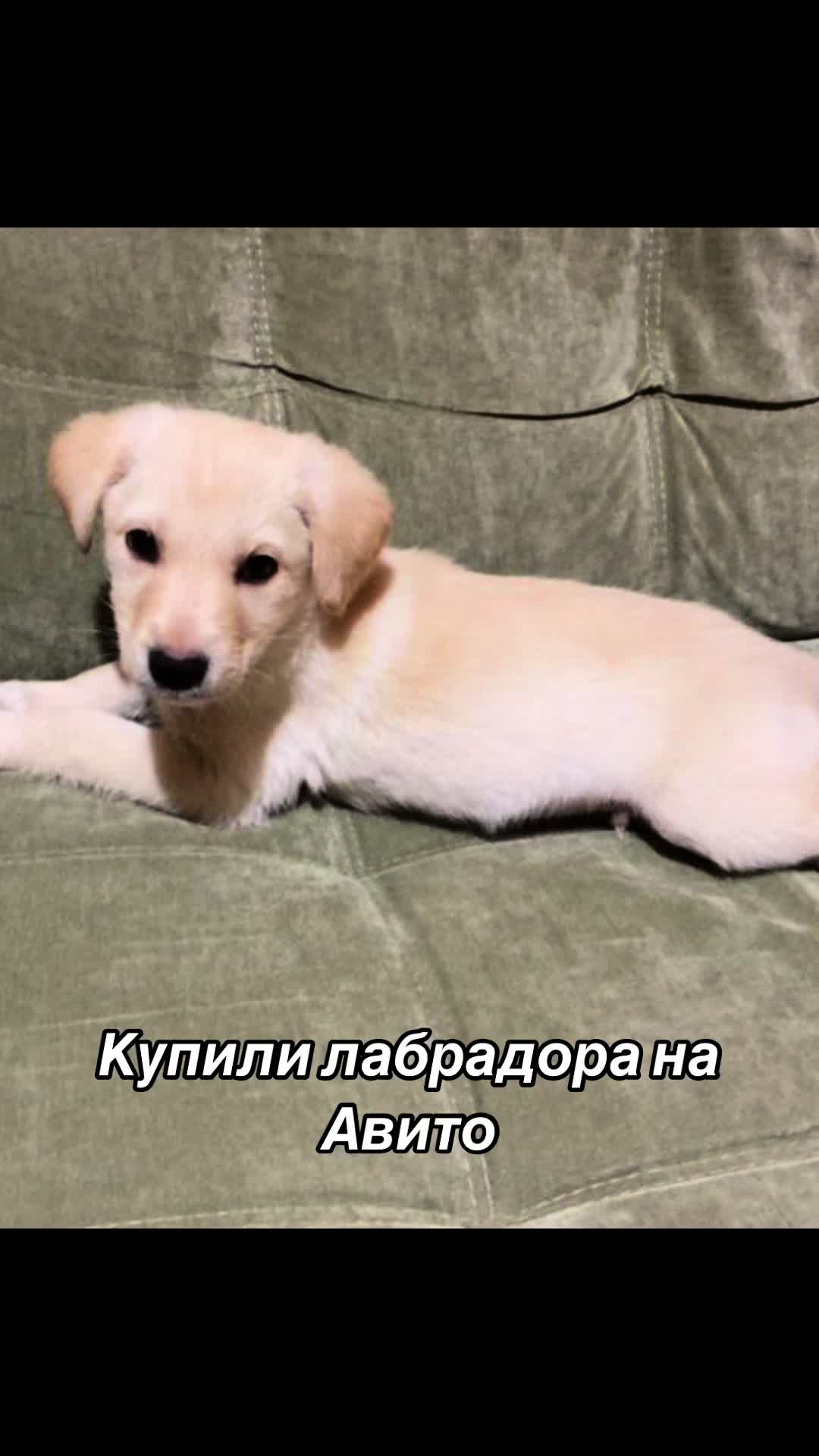 @_katy_.sun